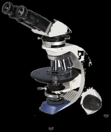 Optek Labor XP-PL