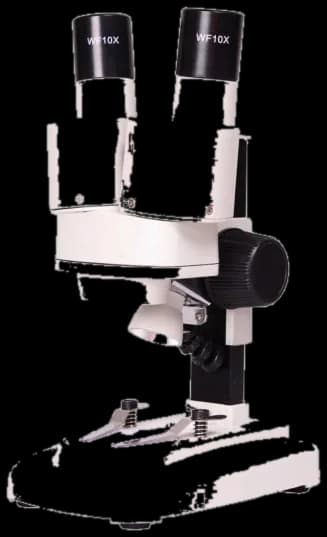 XTL I